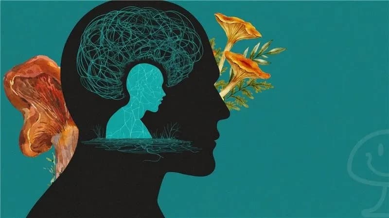 The Psychedelic Path to Mental Health