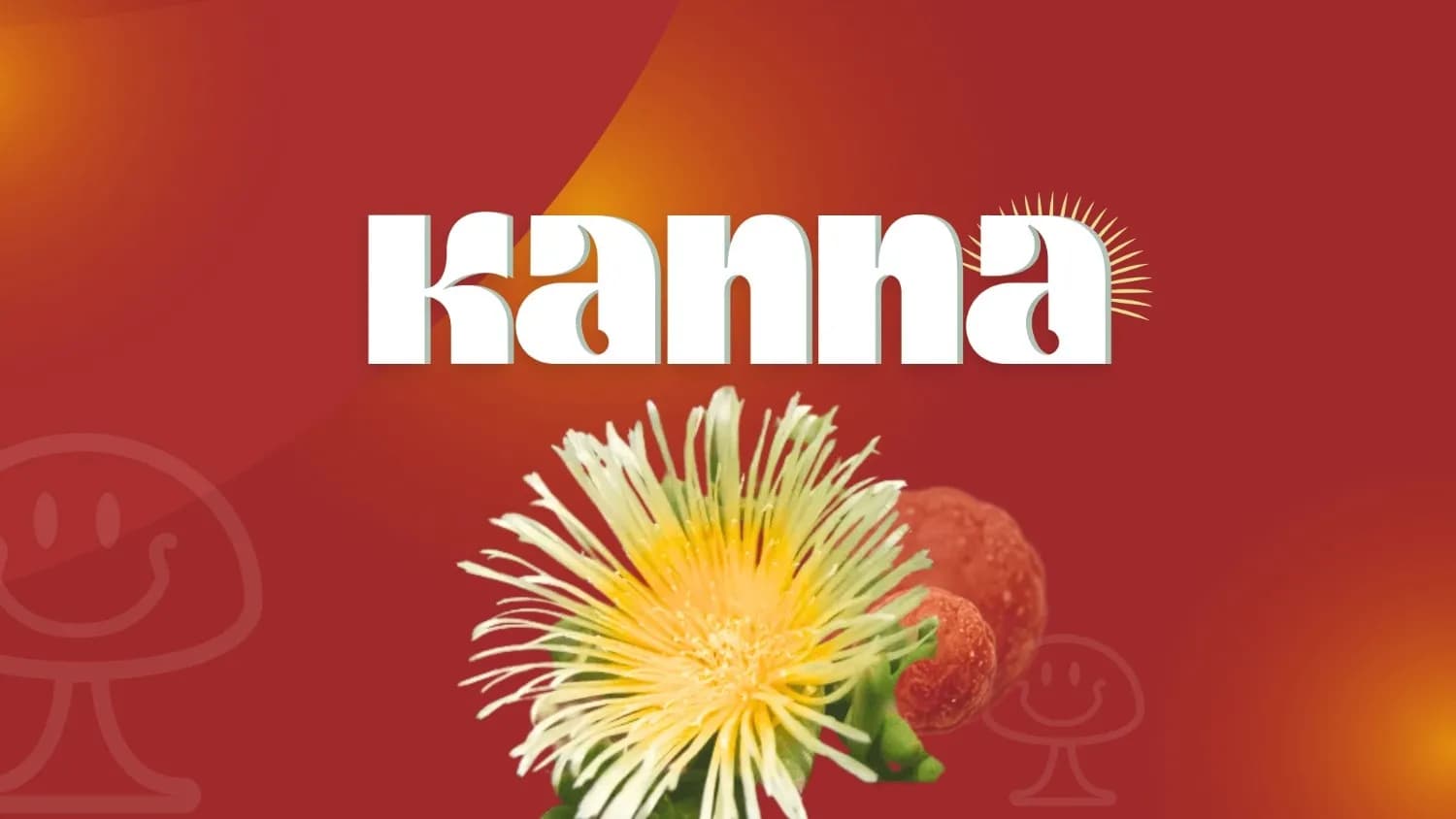 A vibrant image of a kanna flower with a bold "Kanna" text in modern typography on a red background, symbolizing wellness and natural healing.
