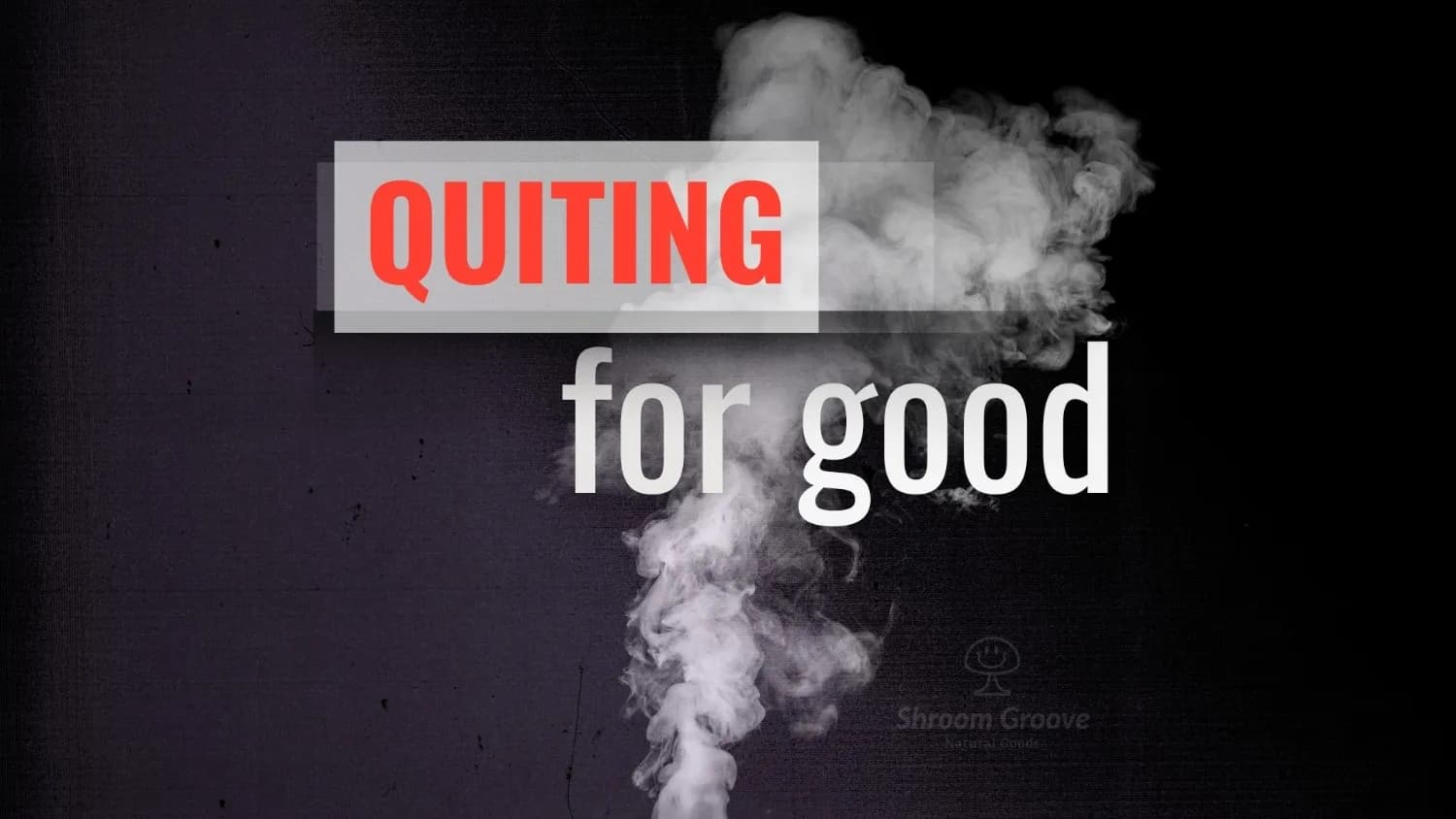 Quitting for Good