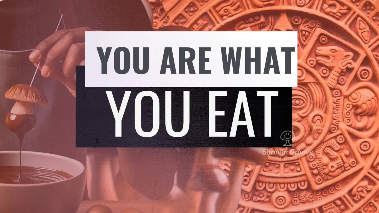 You are What you eat