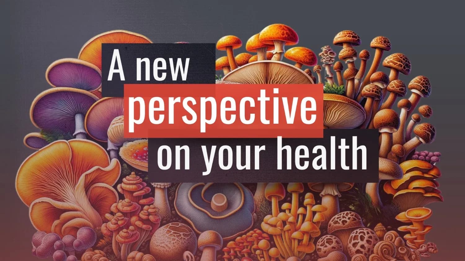 Functional Mushrooms for Better Health