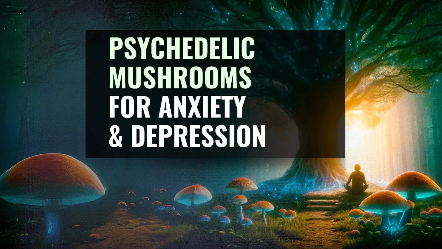 Psychedelic Mushrooms for Anxiety and Depression 