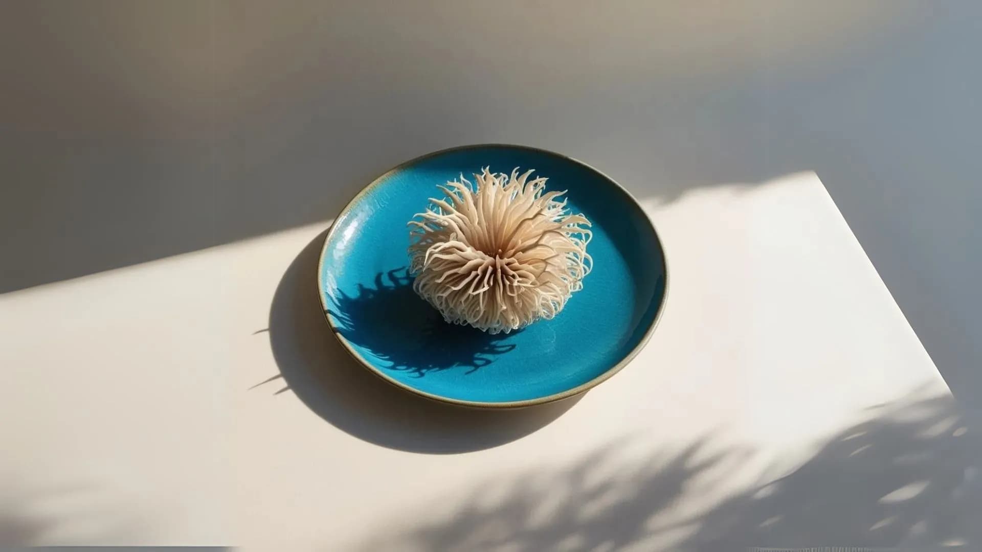 Lion's Mane Mushroom