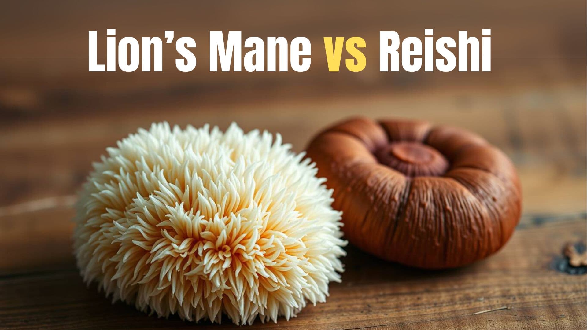 Lion's Mane vs Reishi