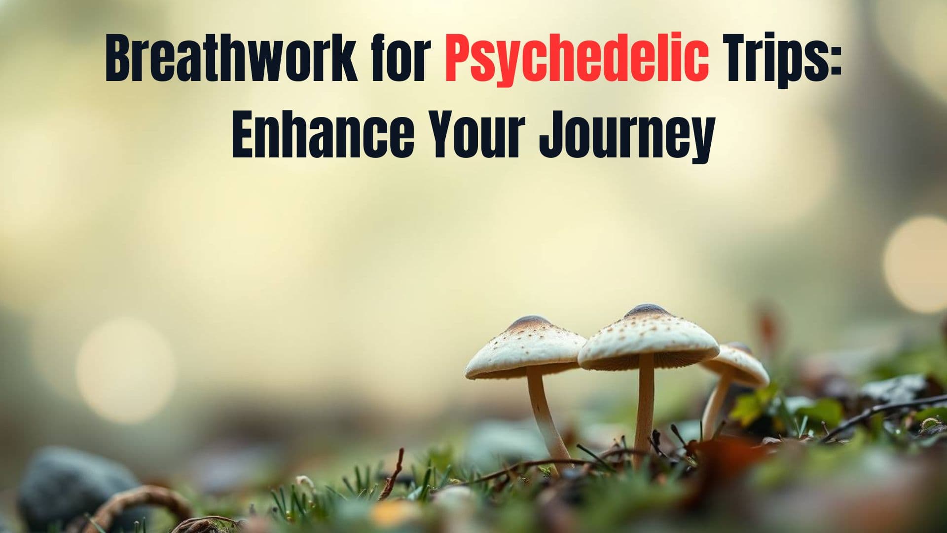 Breathwork for Psychedelic Trips
