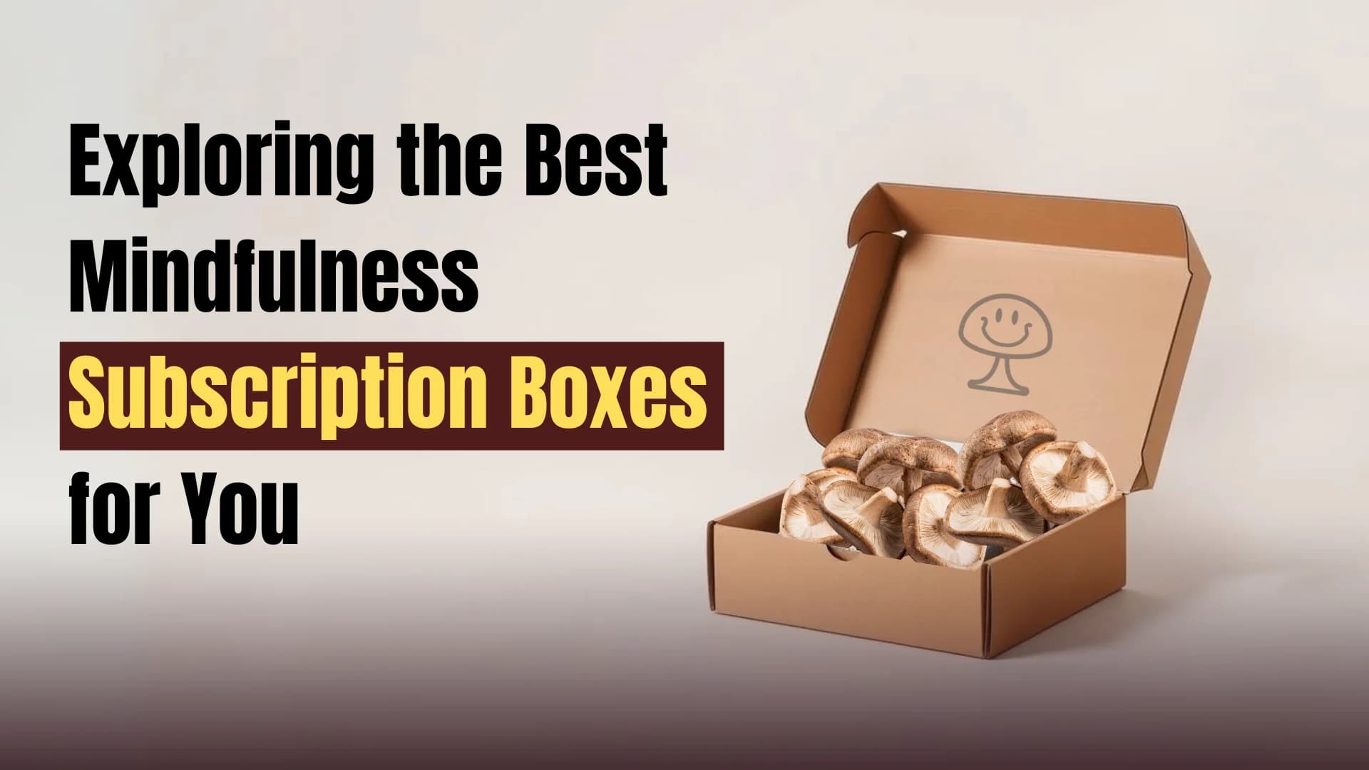 Best Mindfulness Subscription Boxes for You